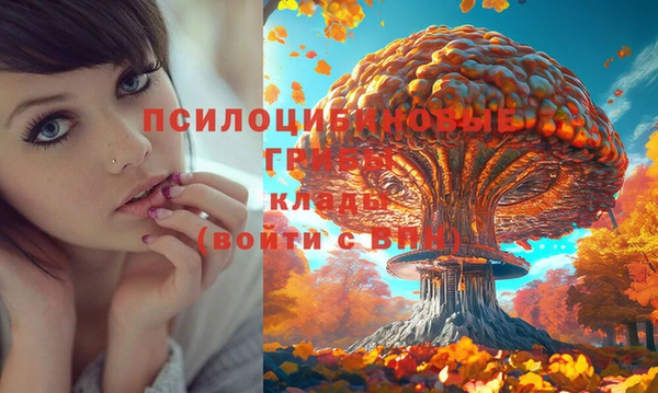 мдма Нягань