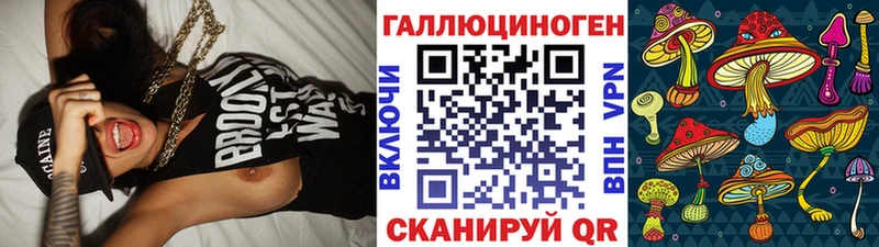 Псилоцибиновые грибы Psilocybe  Купить где  Завитинск 